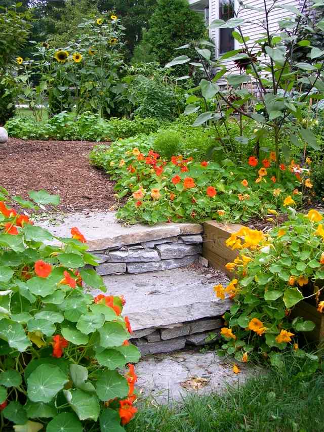 trädgårdsdesign med stenar trädgårdstrappor blommor