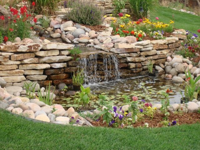damträdgårdsdesign med stenar vattenväxter pensé rake