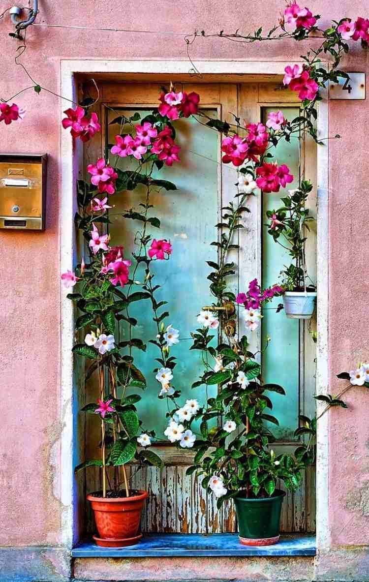 dekoration-idéer-trädgård-design-romantisk-vintage-rosa-turkos-klättring-växter-blommar