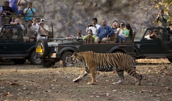 Εθνικό Πάρκο Ranthambore