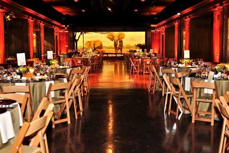 Mottoparty idéer rum-design-dekoration-afrika-fest-elefanter
