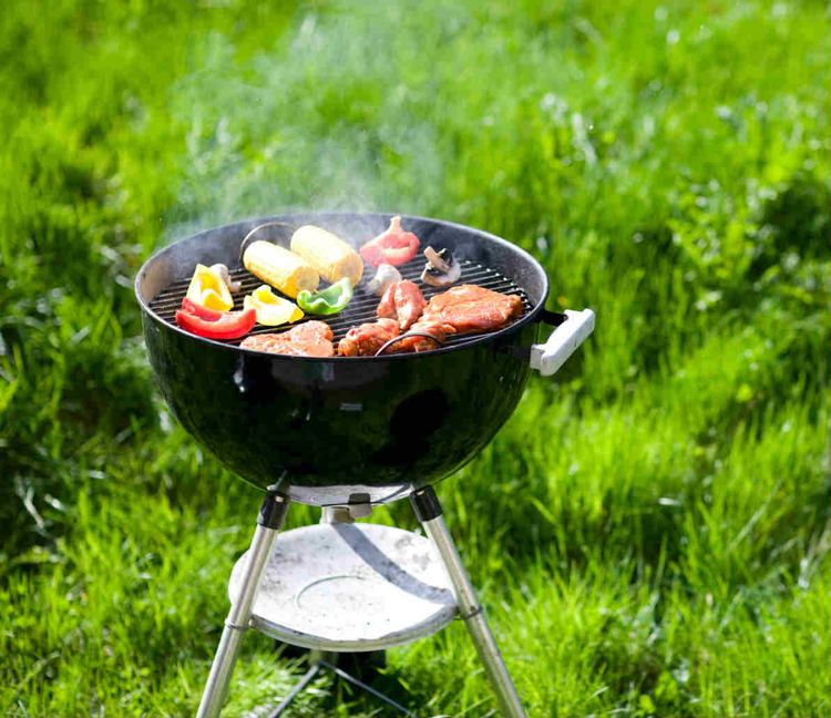 picknick-idéer-checklista-mobil-grill-gräsmatta-äng