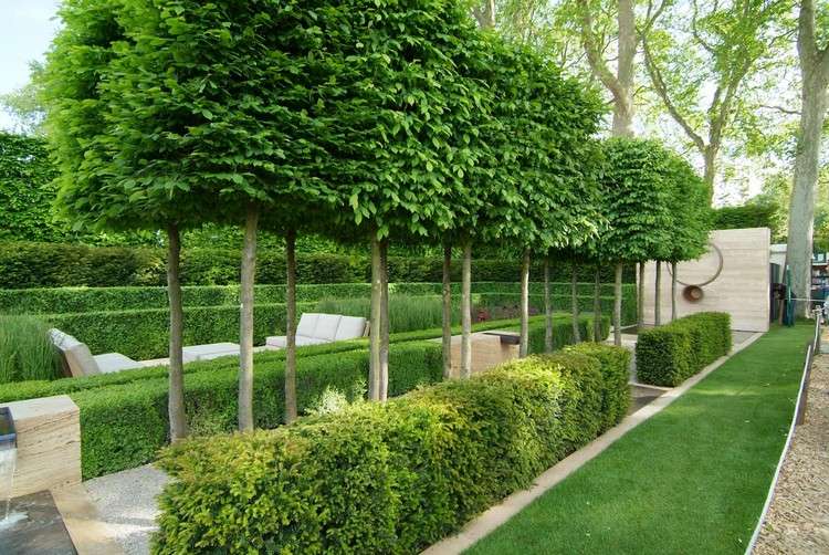 idéer-innergård-trädgårdsarbete-topiary-träd