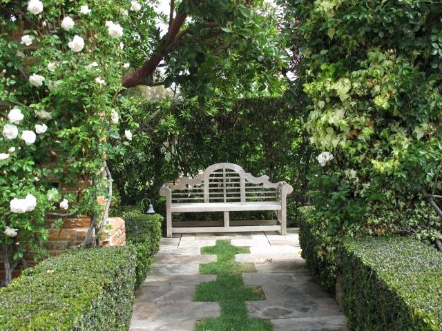Engelsk trädgårdslåda häckar bänk vita rosor murgröna