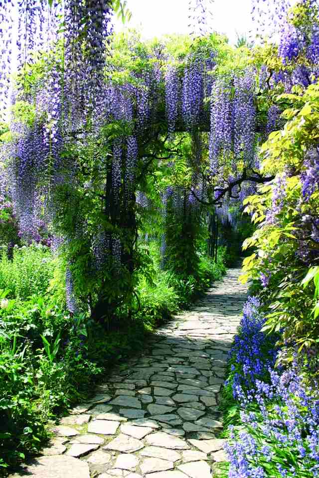 idéer innergård trädgård design blå regn stenväg romantisk