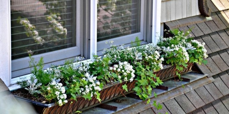 sommar fönster gröna vita växter tak deco idé
