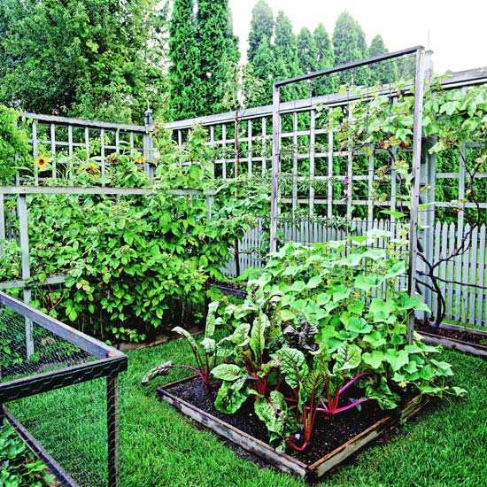 idéer för element i trädgårdsdesign plantering grönsaks trädgård