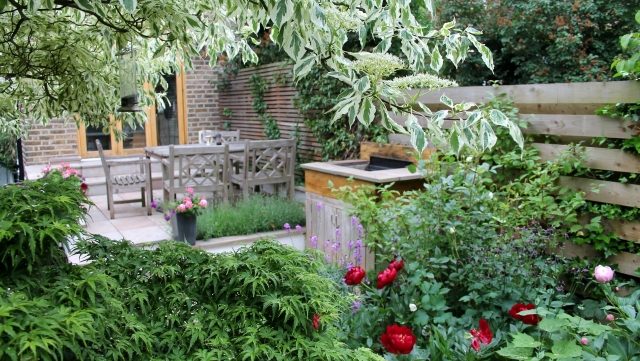 vackert färgade doftande blommor växter atmosfär inbjudande