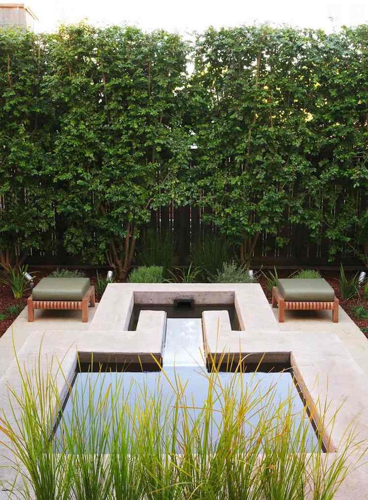 trädgård partition-idéer-sekretess-skydd-häck-modern-trädgård-design-radhus