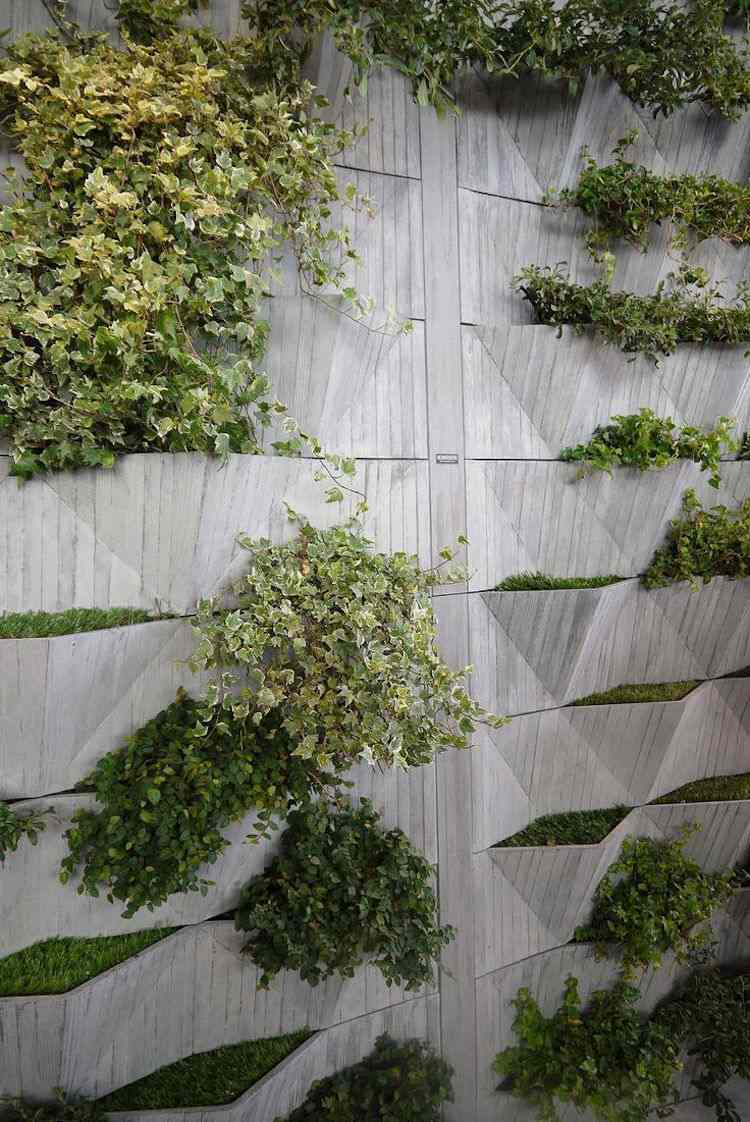 trädgård partition-idéer-radhus-betong-vägg-grönning-vertikal-trädgård