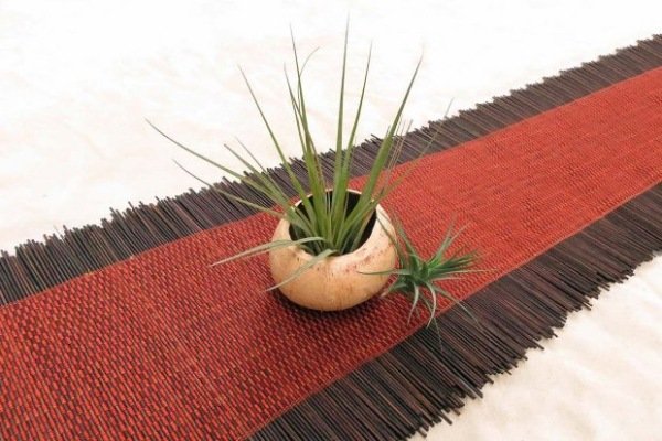 Dekorationsidéer med tillandsia vas kokosskålsbordsrunner