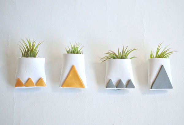 Dekorationsidéer med Tillandsia behållarmagneter