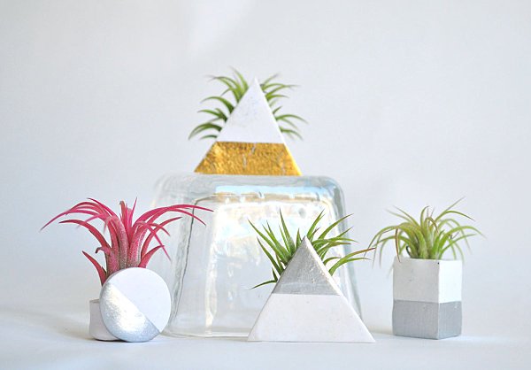 geometriska behållare tillandsia silvervit