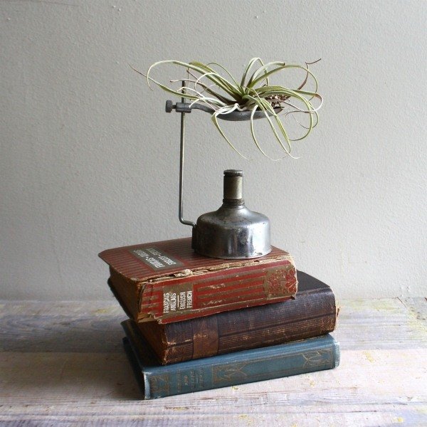 Dekorationsidéer med Tillandsia vintage books brännare