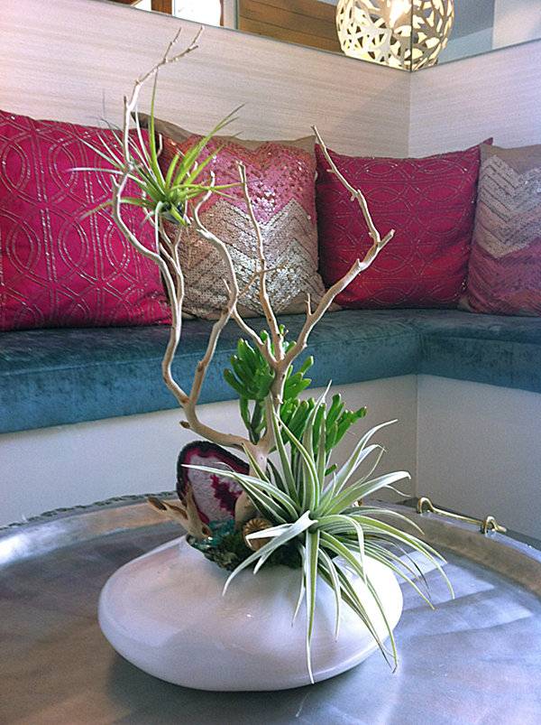 arrangemang vas kvist tillandsia vardagsrumsbord