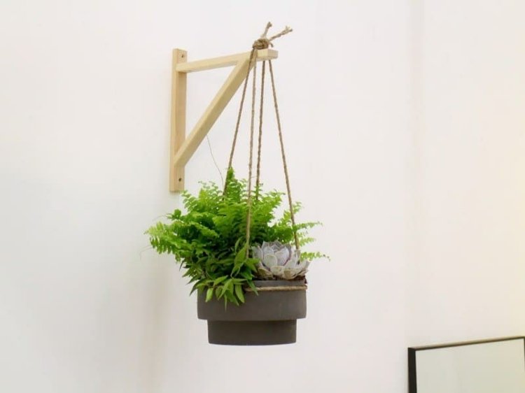 diy-idéer-hyllhållare-blomkruka-hängande-ormbunkar-väggdekoration