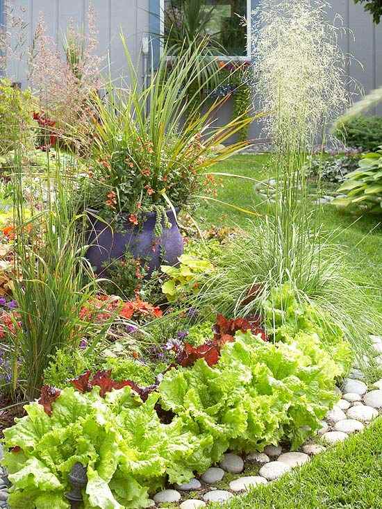 grönsaks trädgård sallad dekorativa gräs textur