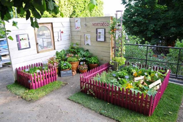 grönsaks trädgård dekorativa upphöjda sängar trä staket staket rosa