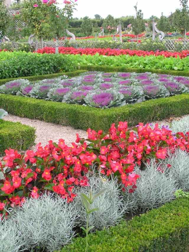 dekorativa grönsaksträdgårdar slott frankrike blommor