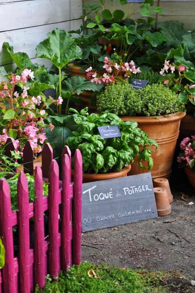 potager trädgård idé örter planter