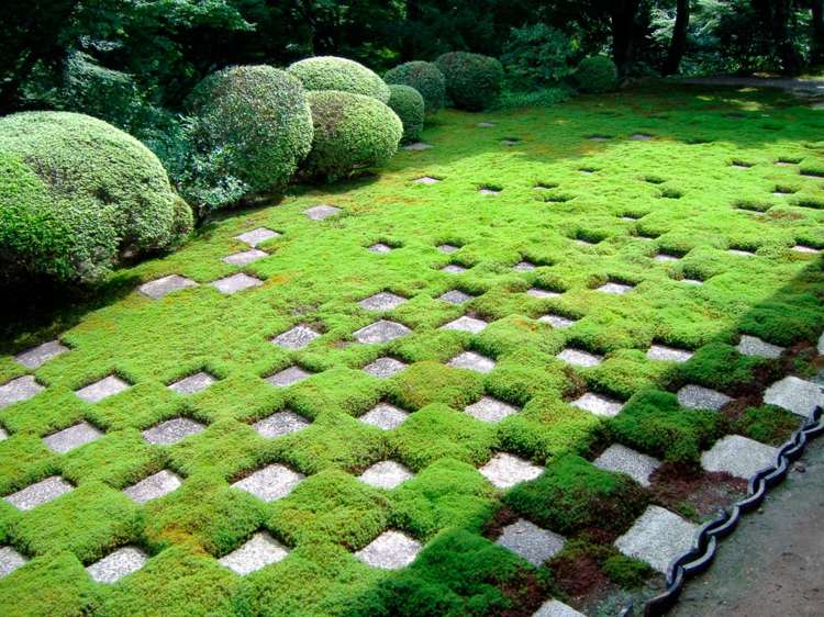 idéer för trädgårdsdesign gräsmattor med rutmönster stenbuskar