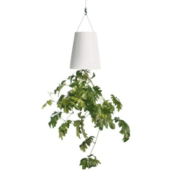 hängande blomkrukor hemträdgård gåva idé hobby trädgårdsmästare