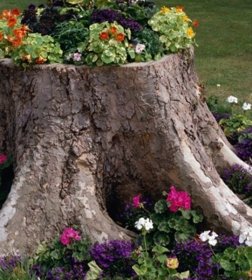 dekorera trädstammselement i det inre plantera blommor