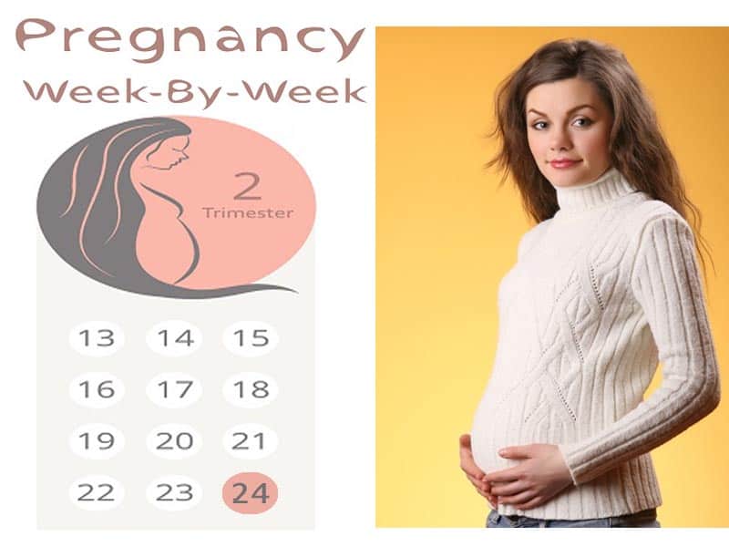24 viikkoa raskaana