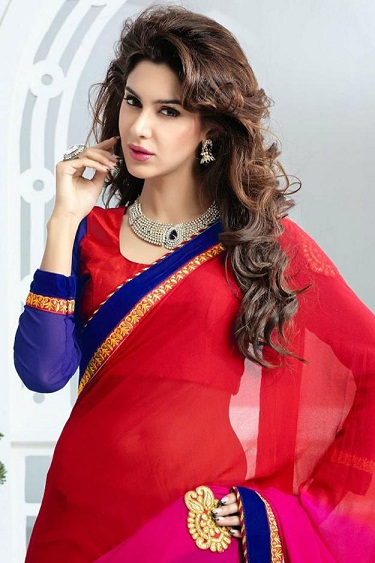 The Net Red Saree