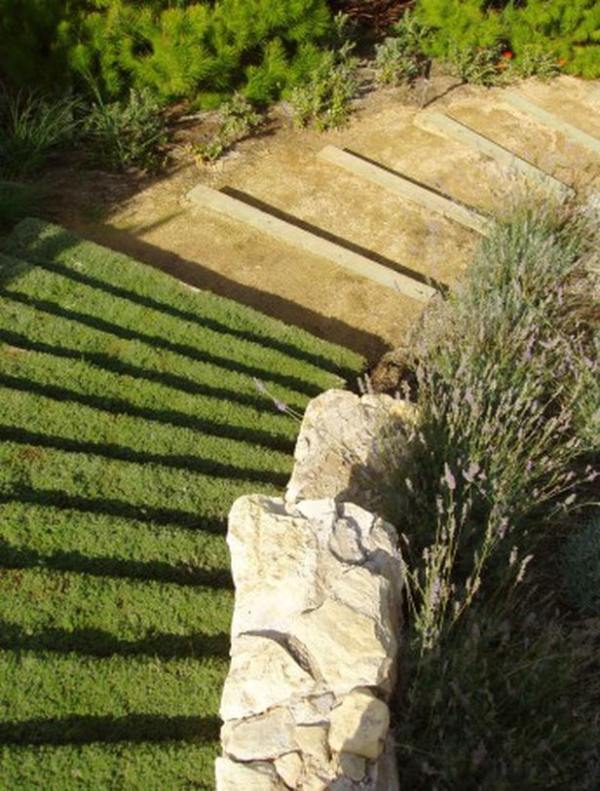 gröna trappor kreativa idéer för trädgårdsvägdesign