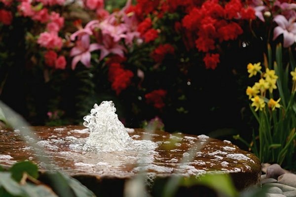 vackra fontän trädgård blommor