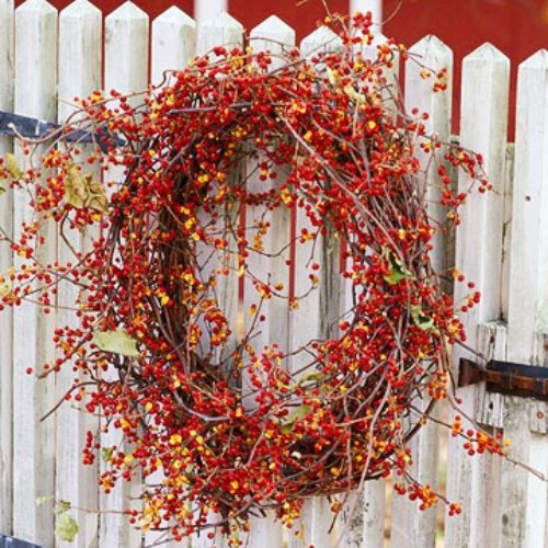 röda frukter kreativa dekorationsidéer för dörrkransar på hösten