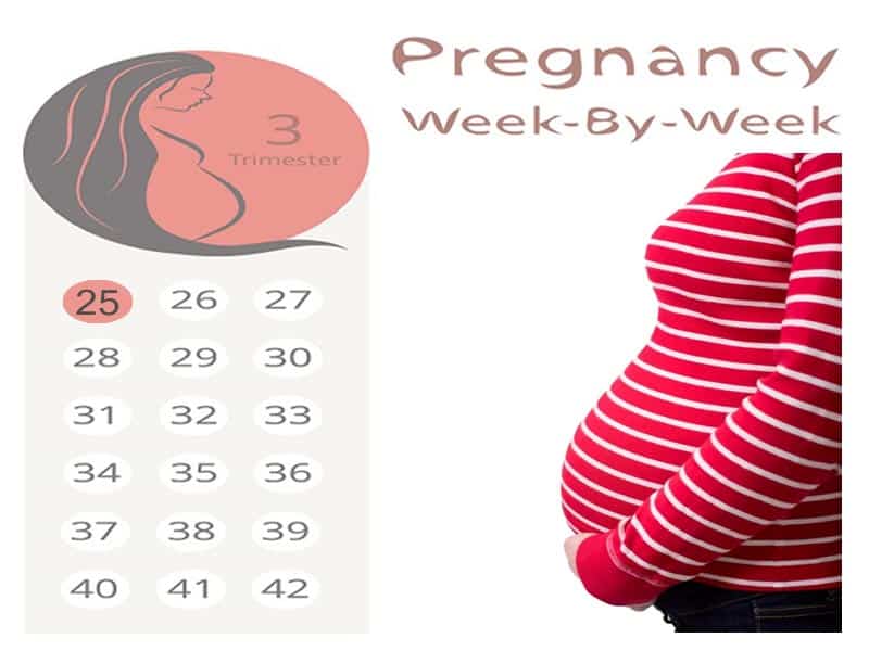 25 εβδομάδων έγκυος