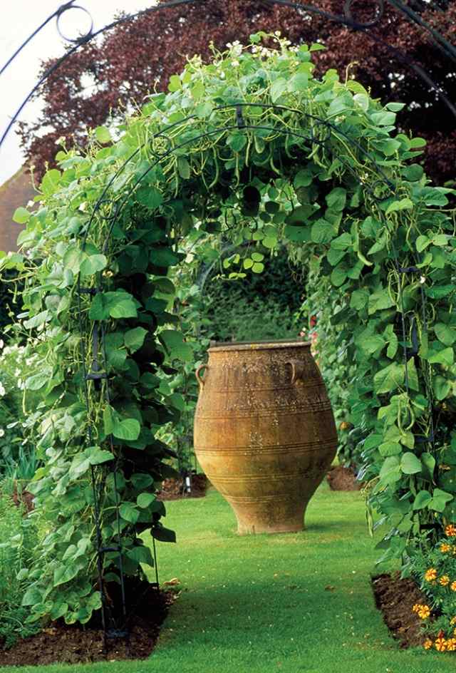 trädgård pergola terrakotta växt stöd metall