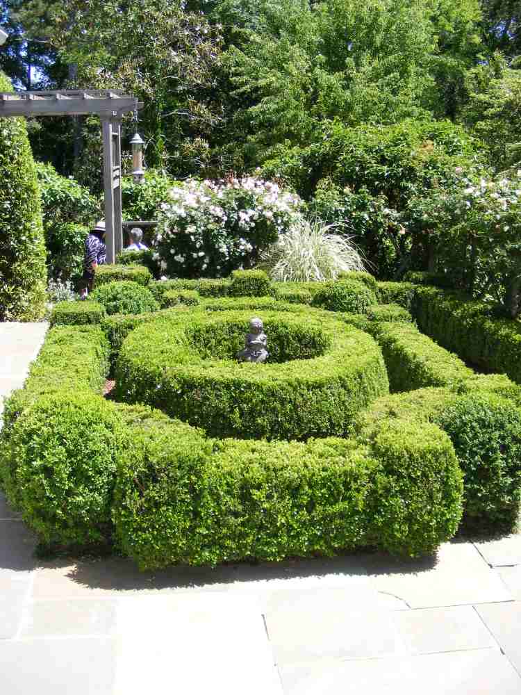 Boxwood-klippning-trädgårdsarbete-trädgårdsarbete-vår-trädgård-skulpturer-forma-underhålla