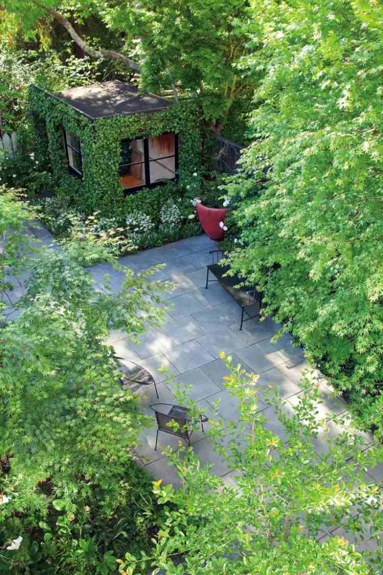 urban-trädgård-design-litet-rum-vy-ovan-träd-murgröna-fasad