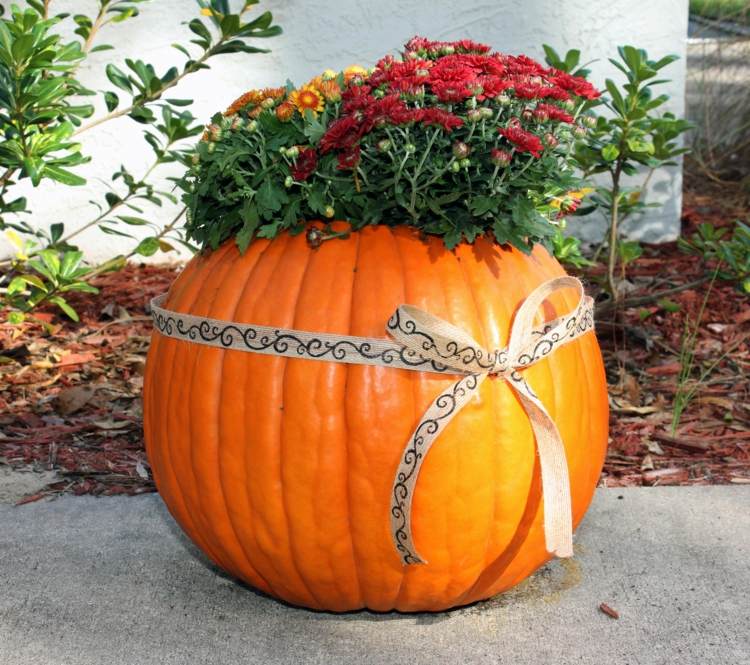 halloween dekoration band pumpa blomkruka idé blommor