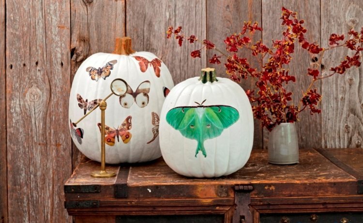 halloween dekoration vit pumpa fjäril strauss höstlöv