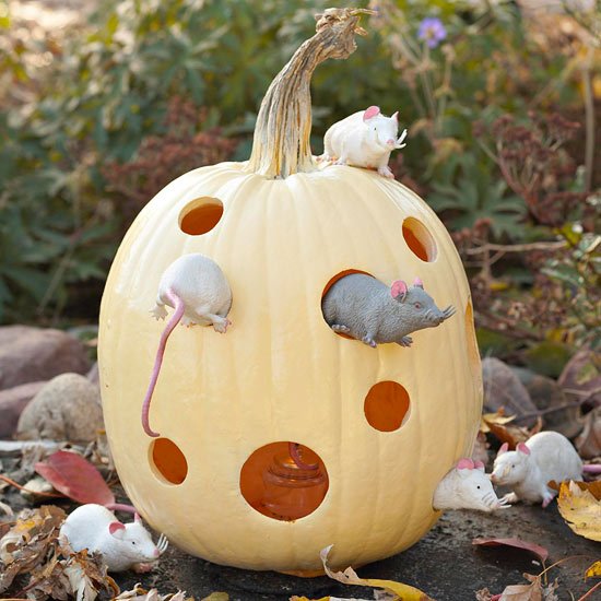 Idé pumpa möss trädgård