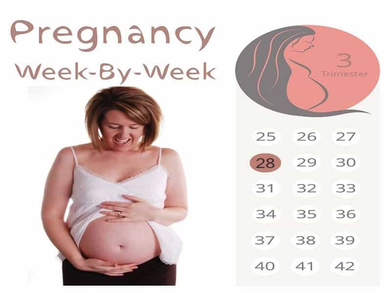 28 viikkoa raskaana