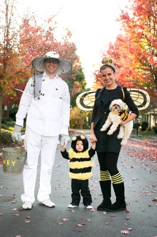 Carnival idéer karneval kostymer bin familj hund