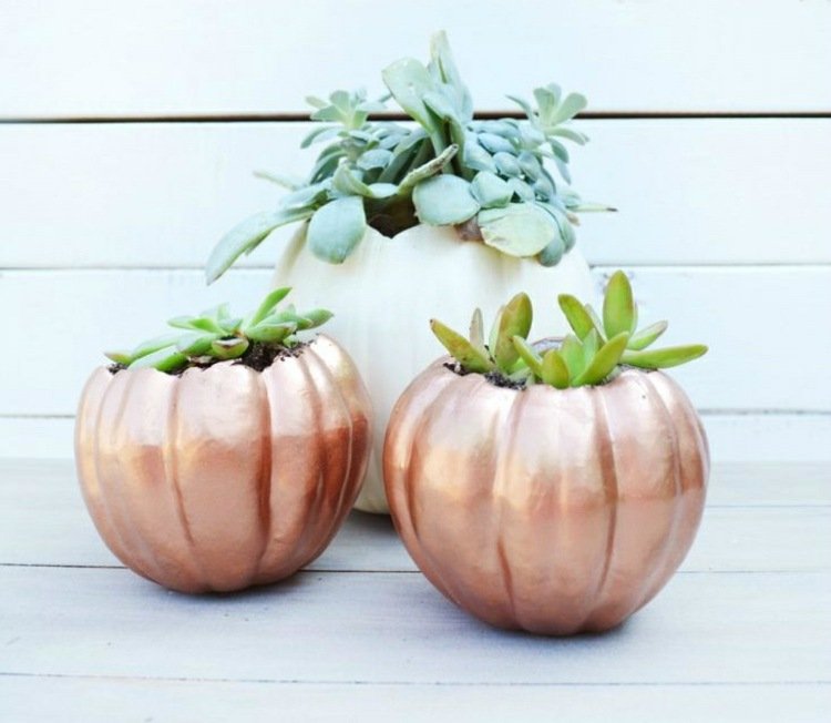 idéer höstdekoration pumpa målning blomkruka succulenter