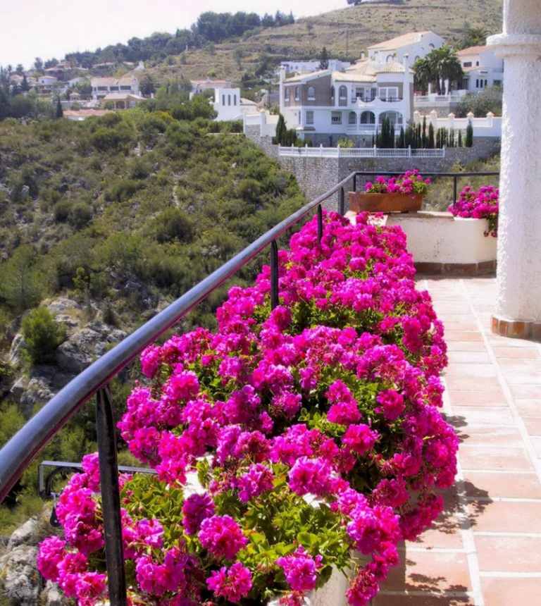 idéer för balkongdesign rosa blommor blommor medelhavsblomma lådor frodiga