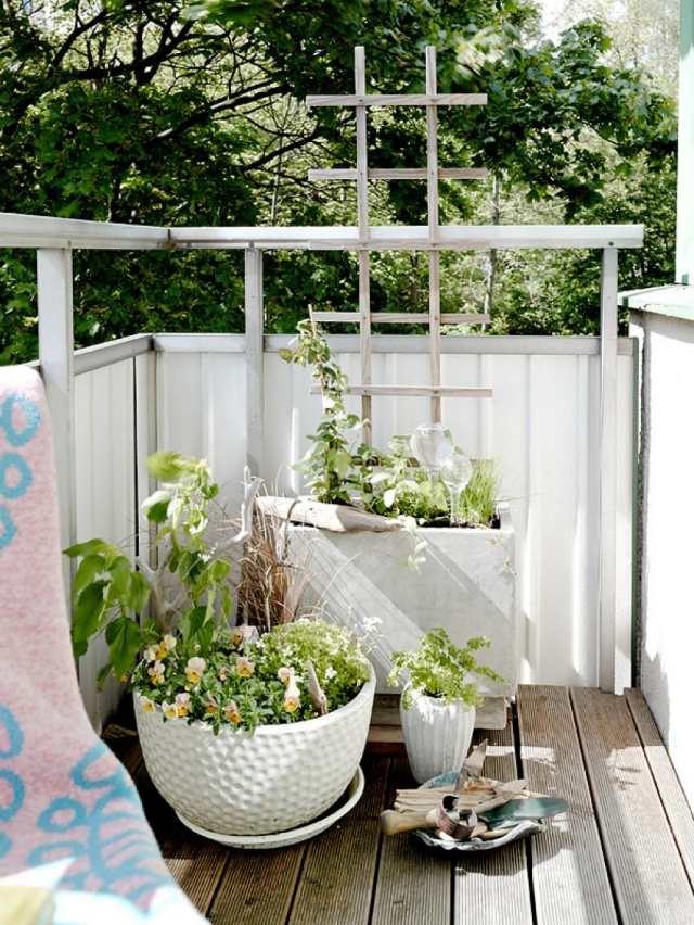 idéer små balkongväxter blomkrukor vita