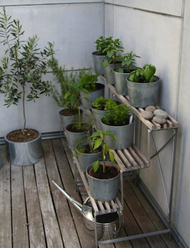 idéer balkongväxter står terrasserade örter grönsaker