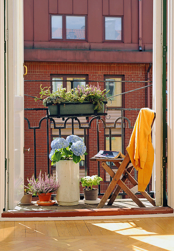 små balkongidéer för balkongdesignväxter räcken hortensior fällstol