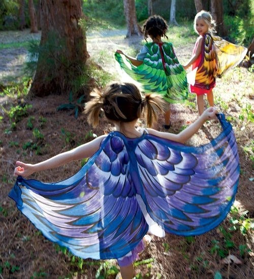 Mardi Gras kostymer barnidéer fjärilvingar