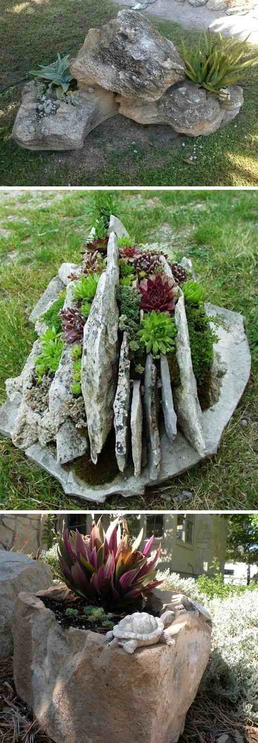 planter-trädgård-växt-stenar-trädgård dekoration