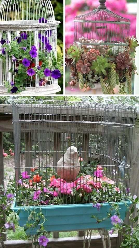 Planter-trädgård-fågelbur-hängande-blommor