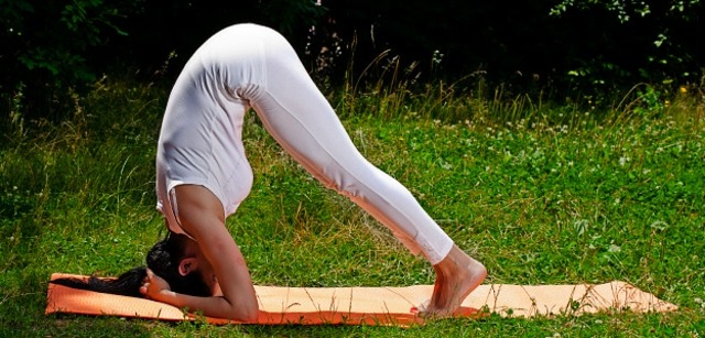 Yogaövningar Nybörjarutbildning hemma Asanas Steg 2